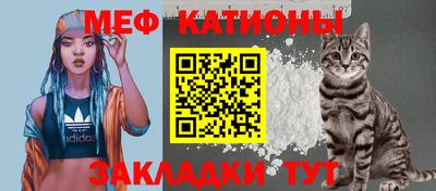 шишки Будённовск