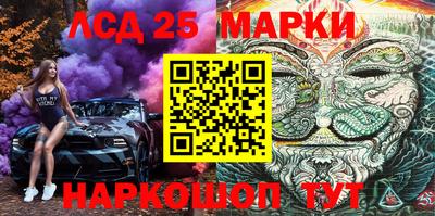 шишки Будённовск