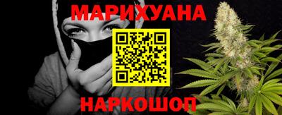 сатива Бузулук