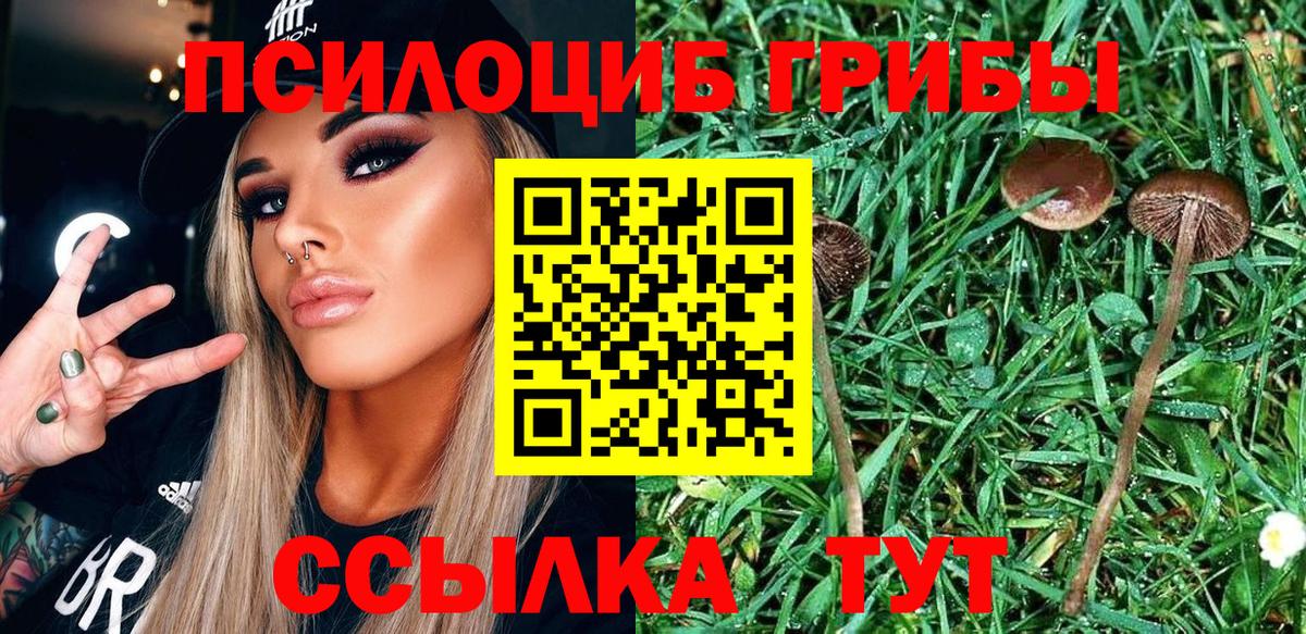 Галлюциногенные грибы MAGIC MUSHROOMS  Вход с VPN  Павловский Посад  Галлюциногенные грибы прущие грибы 