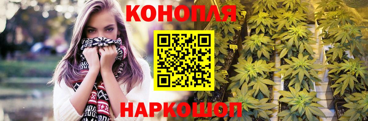 Конопля индика Павловский Посад